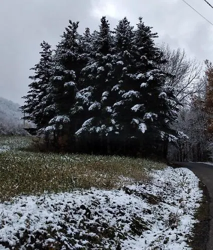 La Verna Апартаменты Montefiorino